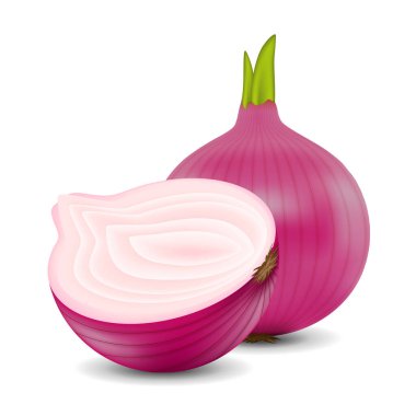 Beyaz arka planda taze soğan izole edildi. Pazar için soğan