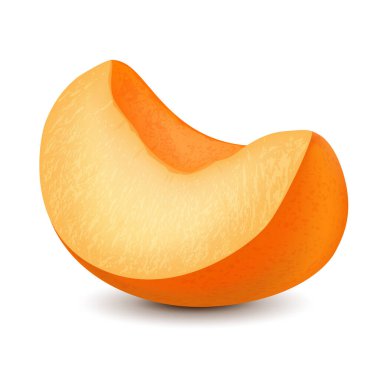 Beyaz arka planda izole edilmiş bir kayısı dilimi. Gerçekçi vektör