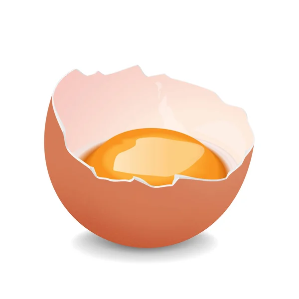 Broken Egg Yolk Realistic Vector — Stock Vector