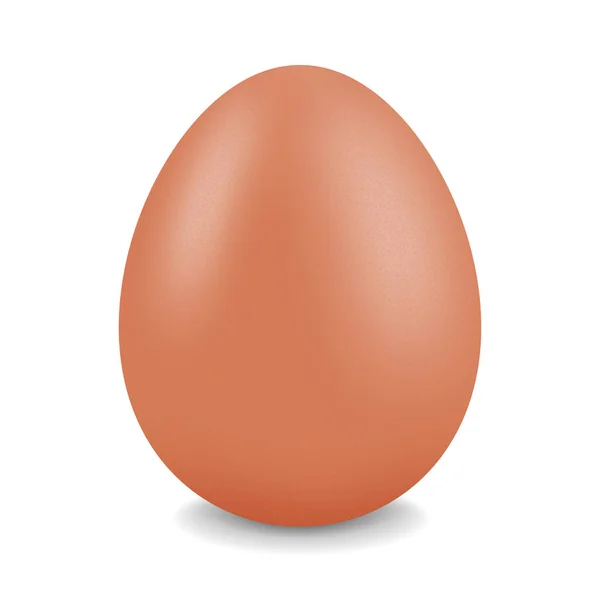 Целое Куриное Яйцо Реалистичный Вектор — стоковый вектор