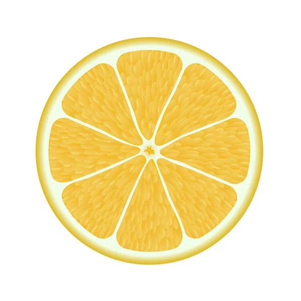 Citron Frais Isolé Sur Fond Blanc Vecteur Photoréaliste — Image vectorielle