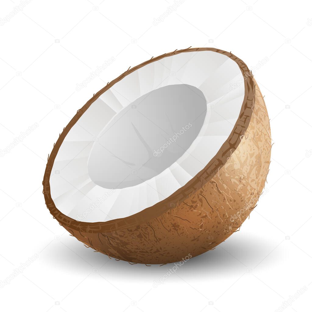 Half coconut on white background. Realistic vector