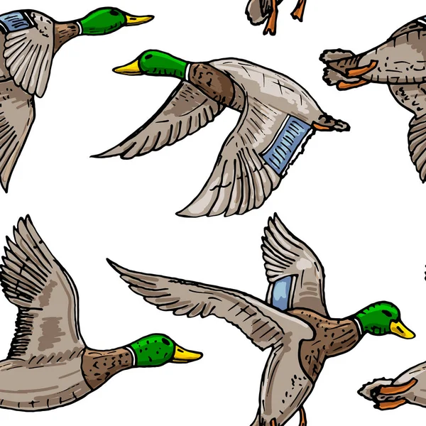 Mallard Duck Vector Sketch Wild Bird Icon — Stock Vector