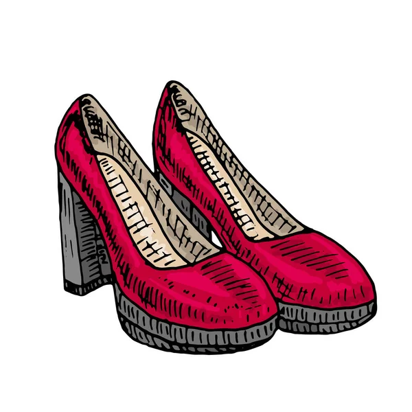 Elegante Moderno Hermoso Vector Zapatos Mujer — Vector de stock