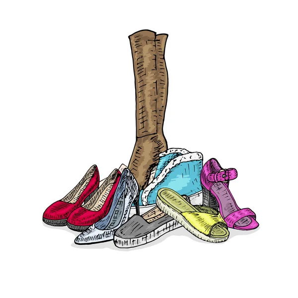 Стильная Современная Красивая Векторная Женская Обувь — стоковый вектор