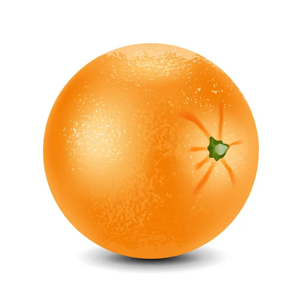 Naranja Fresca Aislada Sobre Fondo Blanco Vector de stock