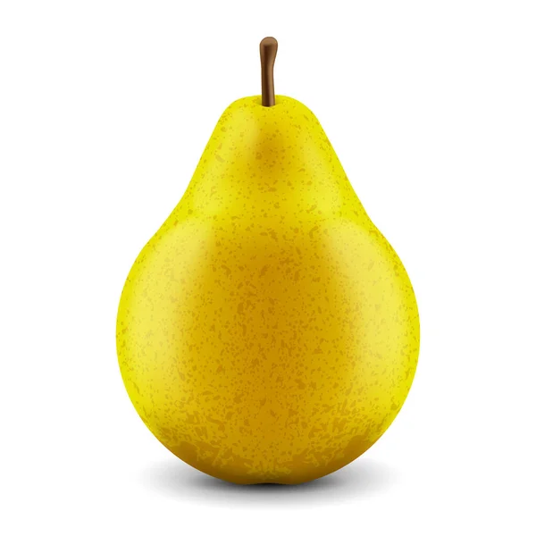 Vector Realistic Fresh Pear White Background Royalty Free Stock Vectors
