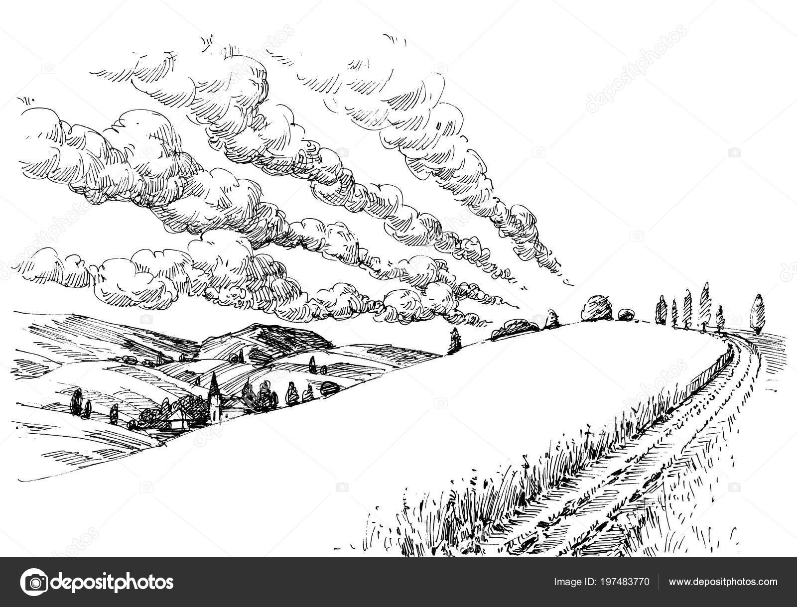 Crops and hills hand drawing. Farm property sketch Stock Vector by ©Danussa  324378270