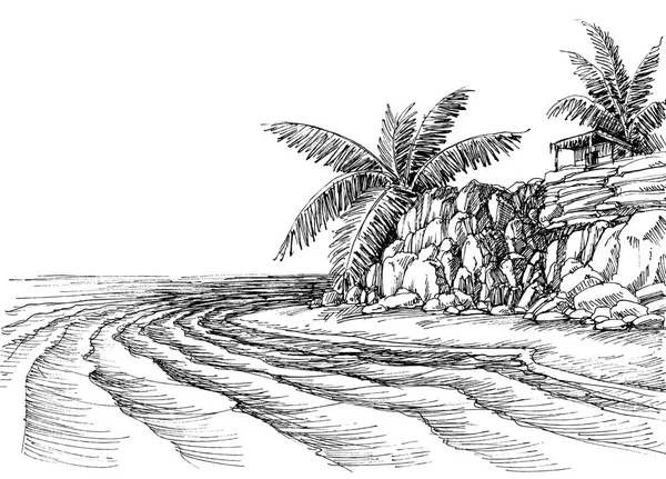 Вид Море Небольшой Пляж Пальмы — стоковый вектор
