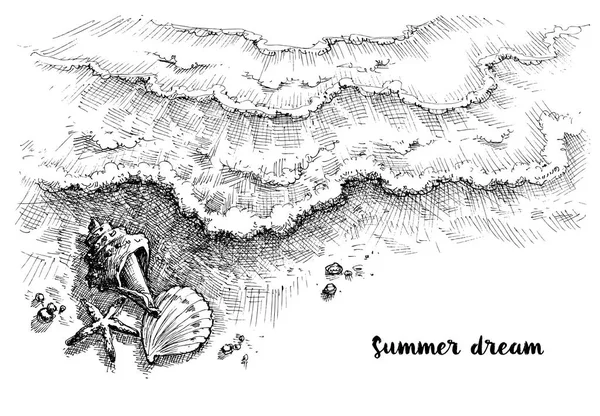ビーチと海のグラフィックの背景 海の波と砂に装飾的な貝殻 夏の休日の壁紙 — ストックベクタ