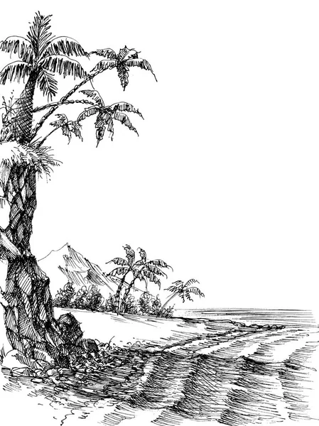 Вид Пляж Море Пальмы Берегу — стоковый вектор