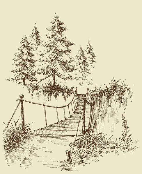 Pont Suspendu Dans Forêt Croquis Nature — Image vectorielle