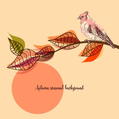 Sonbahar Mevsimlik arka plan, bir ağaç dalı kuş