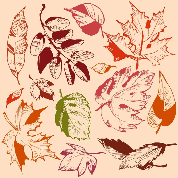 Feuille d'automne ensemble — Image vectorielle