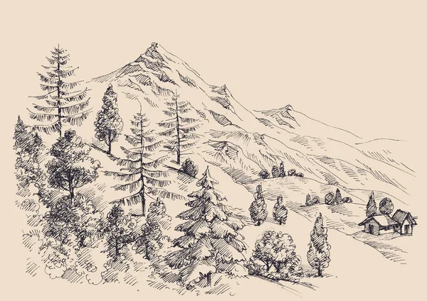 Panorama de montagne, végétation alpine, endroit calme et relaxant — Image vectorielle