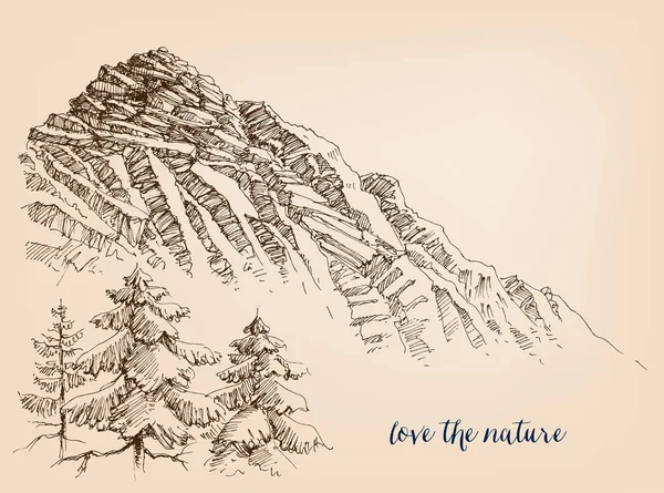 景观素描 高崖山和松树林 — 图库矢量图片