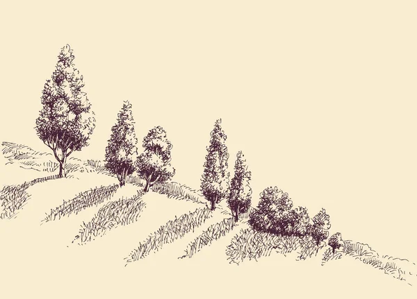 Árboles Creciendo Una Pendiente Colina Boceto — Archivo Imágenes Vectoriales