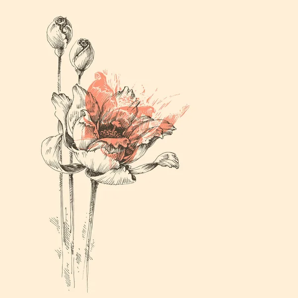 Векторный Набросок Роз Красивая Открытка — стоковый вектор