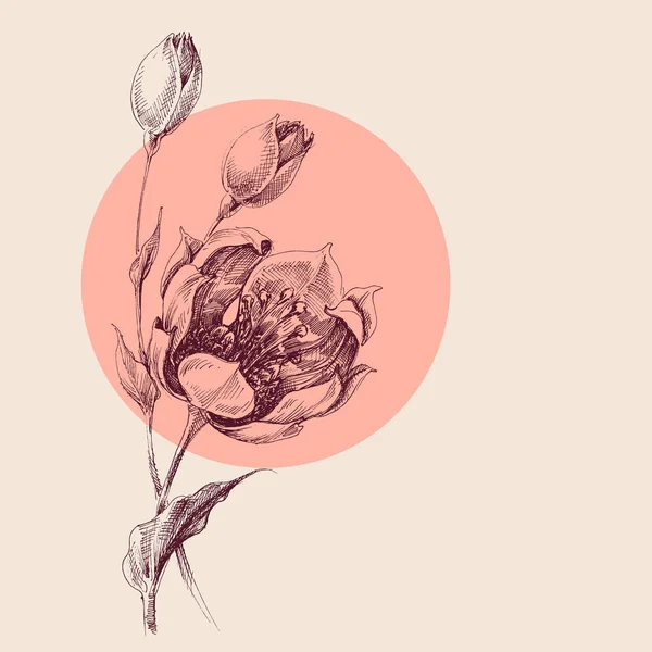 Ramo Rosas Dibujo Mano — Archivo Imágenes Vectoriales