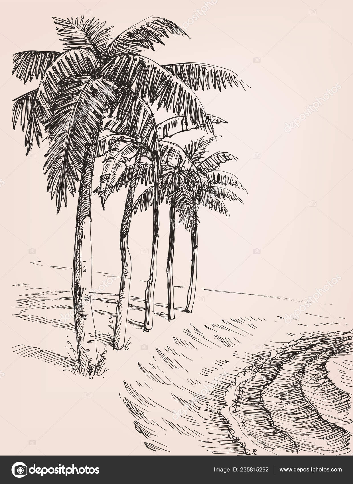 Green Palm Tree Clip Art  Coconut Tree Pencil Drawing PNG Image   Transparent PNG Free Download on SeekPNG
