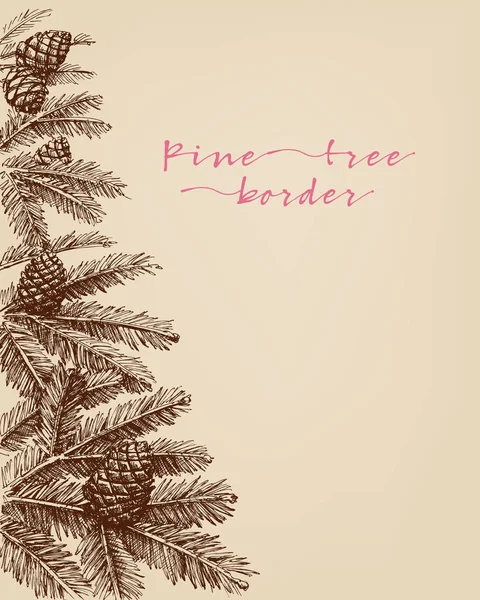 Pine Tree Branches Pine Cones Hand Drawn Detail Border — Stock Vector