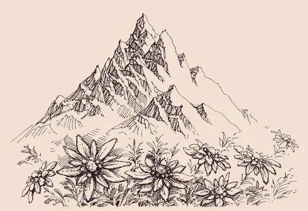 山脉和雪格勒威斯花 — 图库矢量图片