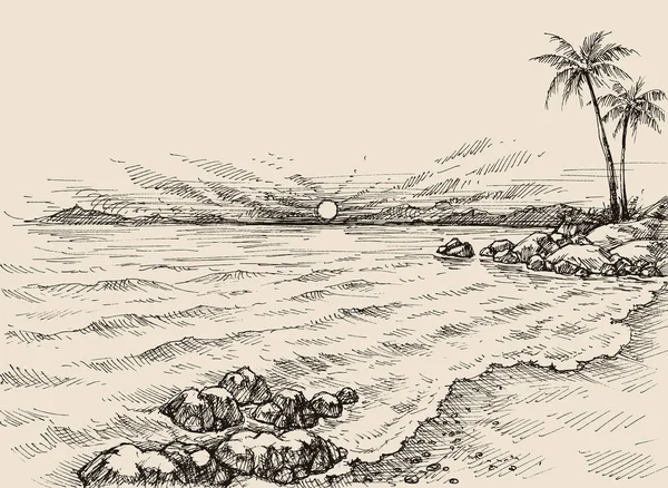 Lever Soleil Sur Plage Dessin Vue Sur Mer Palmiers Sur — Image vectorielle