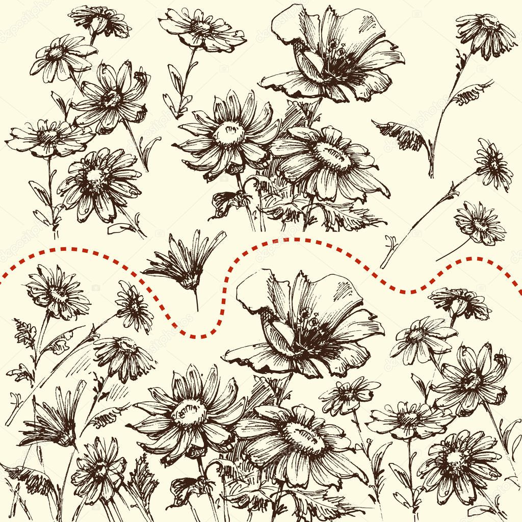 Floral set. A collection of hand drawn flowers, border, bunch or isolated design elements
