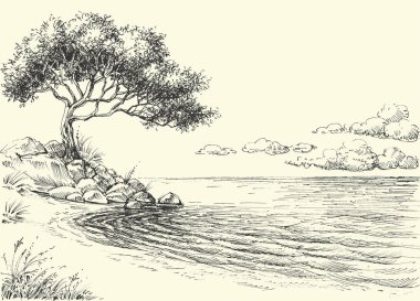 Olive tree on sea shore vector drawing clipart