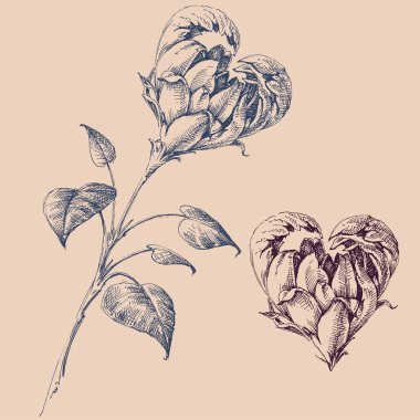 Kalp şeklinde çiçek tasarım öğeleri