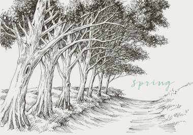 Artistic landscape, an alley in the park under the trees hand drawing vector