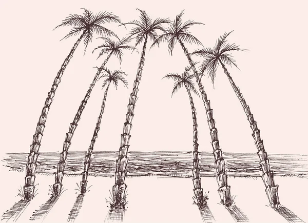棕榈树海滩, 海景手绘 — 图库矢量图片