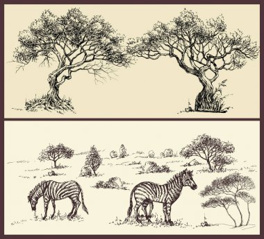 Doğa afişleri ayarlandı. Zebra ile ağaçlar kemer ve savana manzara