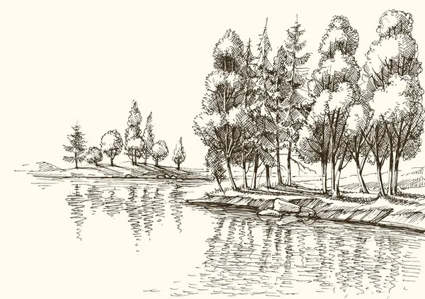 Bäume am Seeufer oder Flussufer Vektorzeichnung — Stockvektor