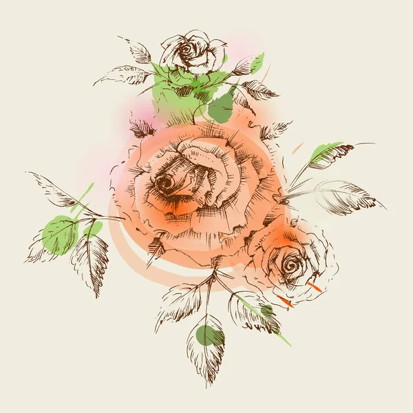 Милі троянди прикраси для запрошень або вітальних листівок — стоковий вектор