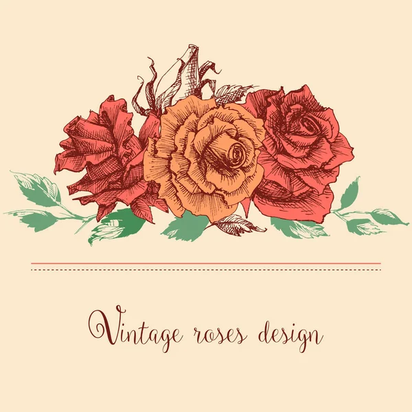 Roses Roses Bouquet Fleurs Arrangement Linéaire — Image vectorielle