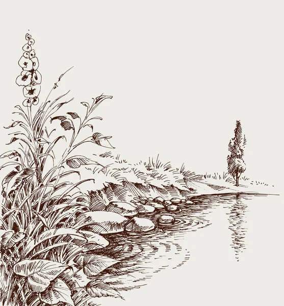 Orilla Del Lago Orilla Del Río Dibujo Artístico Mano Relajante — Archivo Imágenes Vectoriales