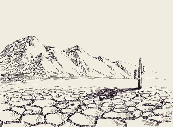 Пустельний Пейзаж Посушливе Середовище Кактус Задньому Плані — стоковий вектор