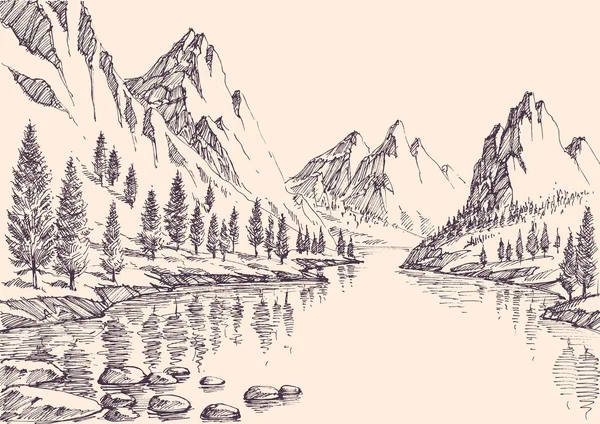 Handgezeichnete Vektorillustration Von Latschenkiefernwald Und Alpenfluss — Stockvektor