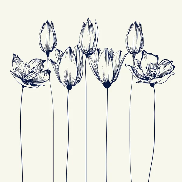 Tulipan Kwiaty Tle Stylowa Kartka Kwiatowa Ręcznie Rysowana Ilustracja Różne — Wektor stockowy