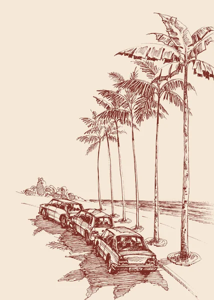 Palm Trees Road Cars Parked Trees Sea View Hand Drawing — Stock Vector