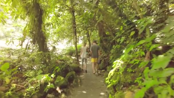 Стабілізований камери наступні групи туристів корита Еквадорських джунглі Lodge алея — стокове відео
