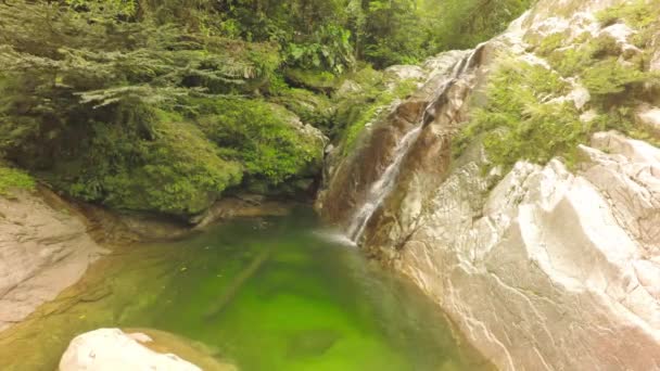 Klarer Wasserlauf und Pool im Dschungel von Ecuador — Stockvideo