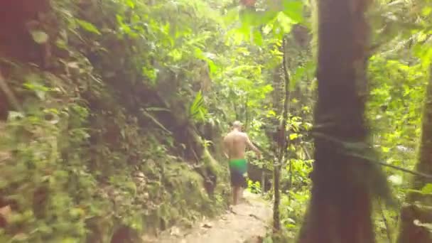 Desconocido adulto turista caminando a través de espesa selva — Vídeo de stock