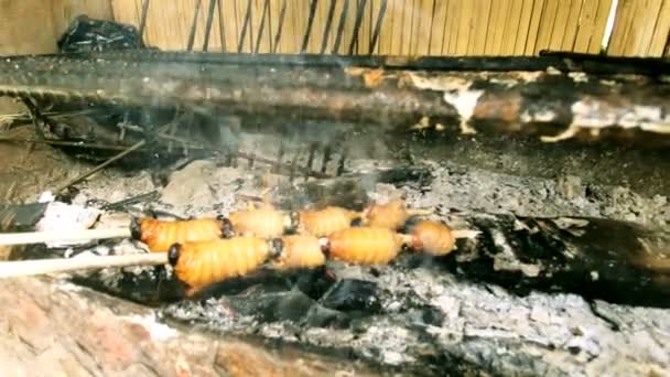Gusanos de Chontacuro cocinando sobre fuego de madera — Vídeo de stock