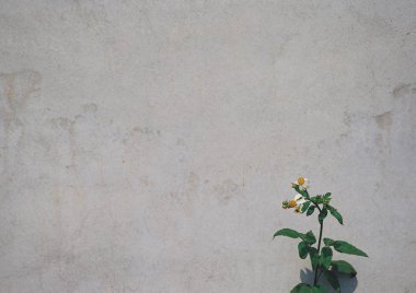 duvar doku arka plan detay