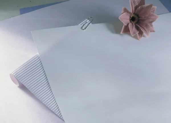 Nahaufnahme Von Leerem Papier Mit Blume — Stockfoto