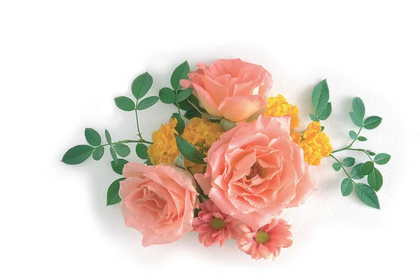 Arka Plan Üzerinde Güzel Gül Çiçek — Stok fotoğraf