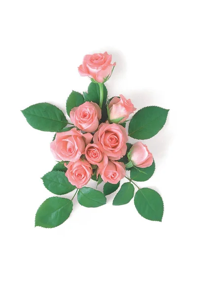 Hermosas Flores Rosa Fondo — Foto de Stock