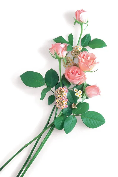 Prachtige Roze Bloemen Achtergrond — Stockfoto
